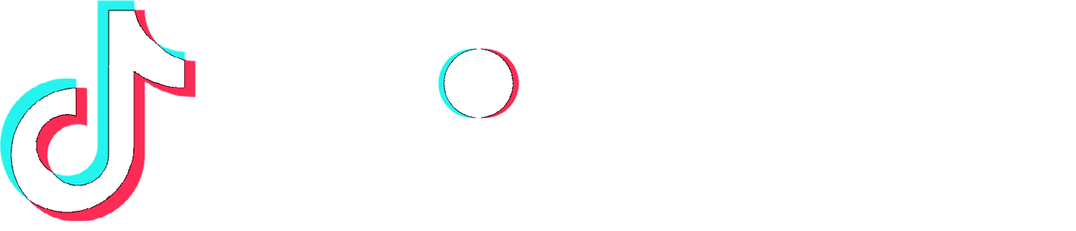TikTok Marketing Partner